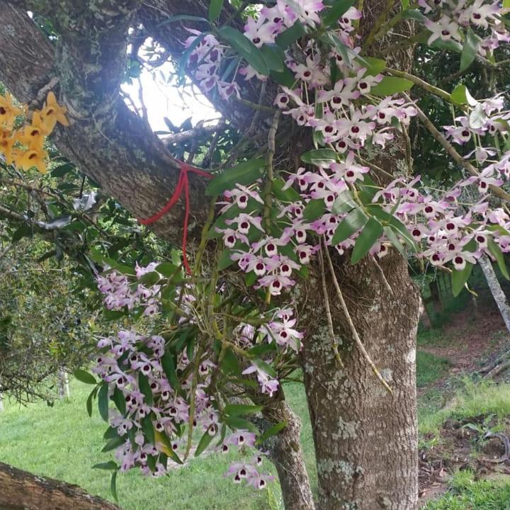 Linda Casa De Campo Виаман Экстерьер фото